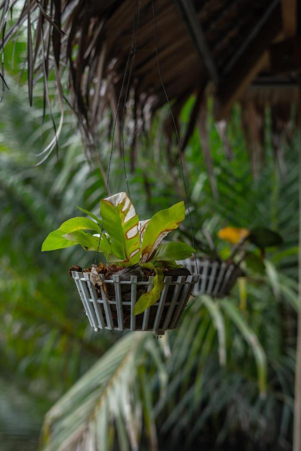 Nary Garden Hotel Kampot Luaran gambar