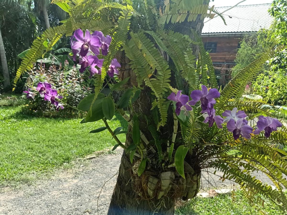 Nary Garden Hotel Kampot Luaran gambar